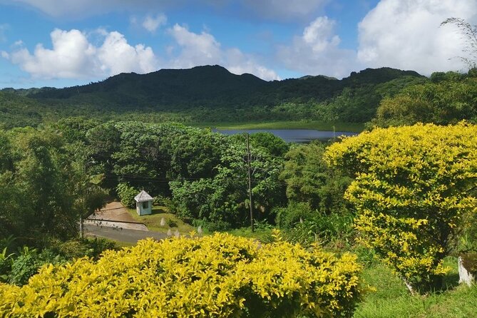 Half-Day Concord Waterfall and Chocolate Factory Tour - The guides make or break the day