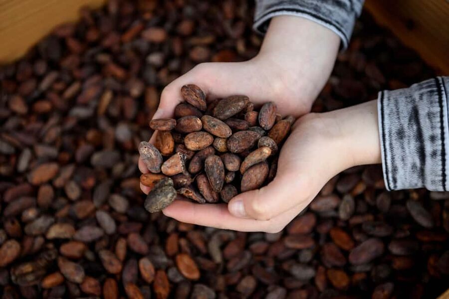 Heule: Chocolatier Vandenbulcke Chocolate Trail Tour - Price, Timing, and Practical Value