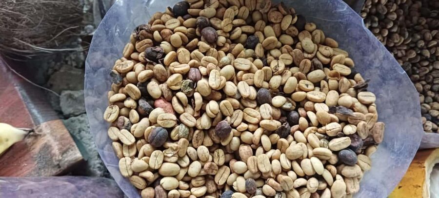 Higuey discovery, coffee and cocoa tasting from punta cana - Why this tour works for curious visitors
