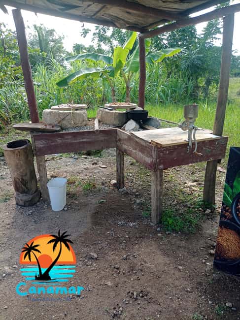 Higuey discovery, coffee and cocoa tasting from punta cana - Rolling your own cigar in Higüey