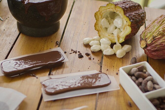 Hotel Chocolat Bean to Bar Experience in St. Lucia - Cacao pods before chocolate bars