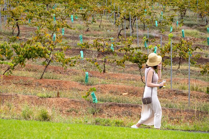 Hunter Valley All Inclusive, Wine, Chocolate Tasting and Lunch - Is $131.67 Good Value?