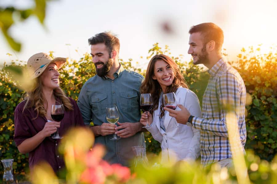 Hunter Valley: Wine, Chocolate and Lunch All Inclusive Tour - Sobels Wines: start with the winemaking process