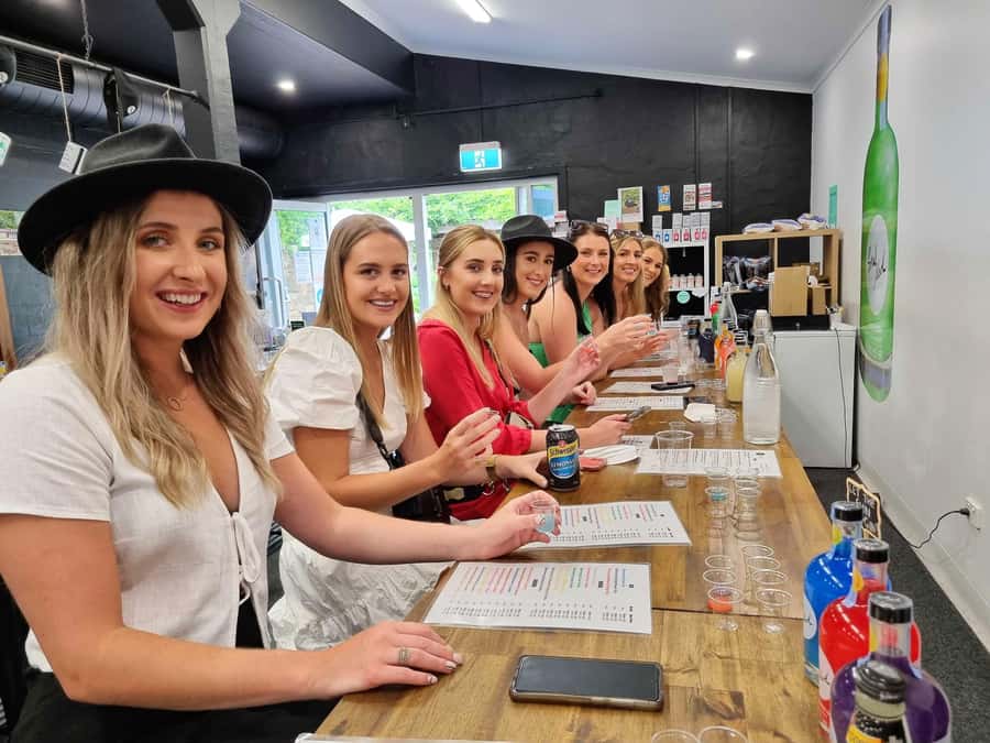 Hunter Valley: Wine, Gin, Cheese and Chocolate Tour - The first winery visit and guided tasting