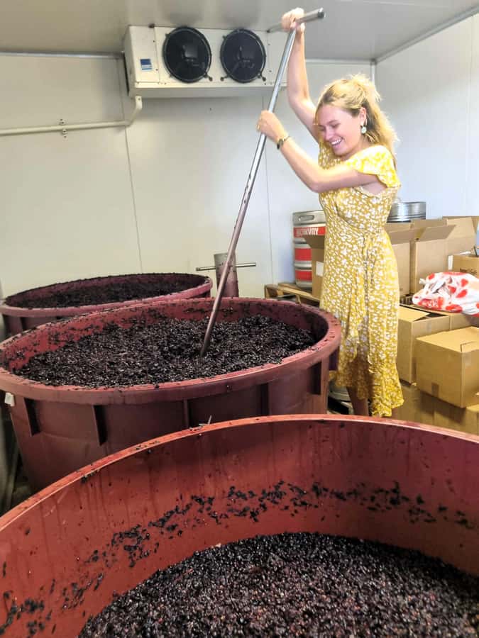 Hunter Valley: Wine, Gin, Cheese and Chocolate Tour - Lunch with a glass of wine, beer, or cider