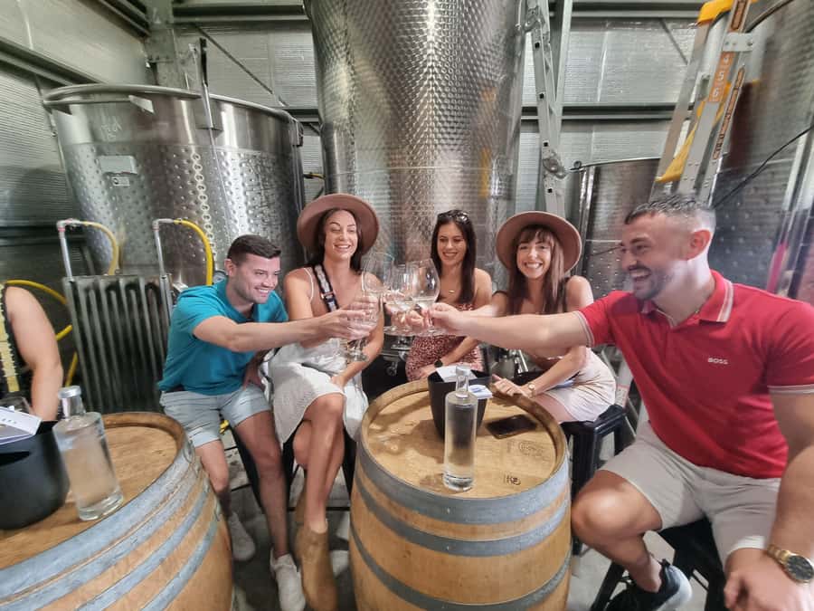 Hunter Valley: Wine, Gin, Cheese and Chocolate Tour - Cheese, chocolate, wine, and more tasting