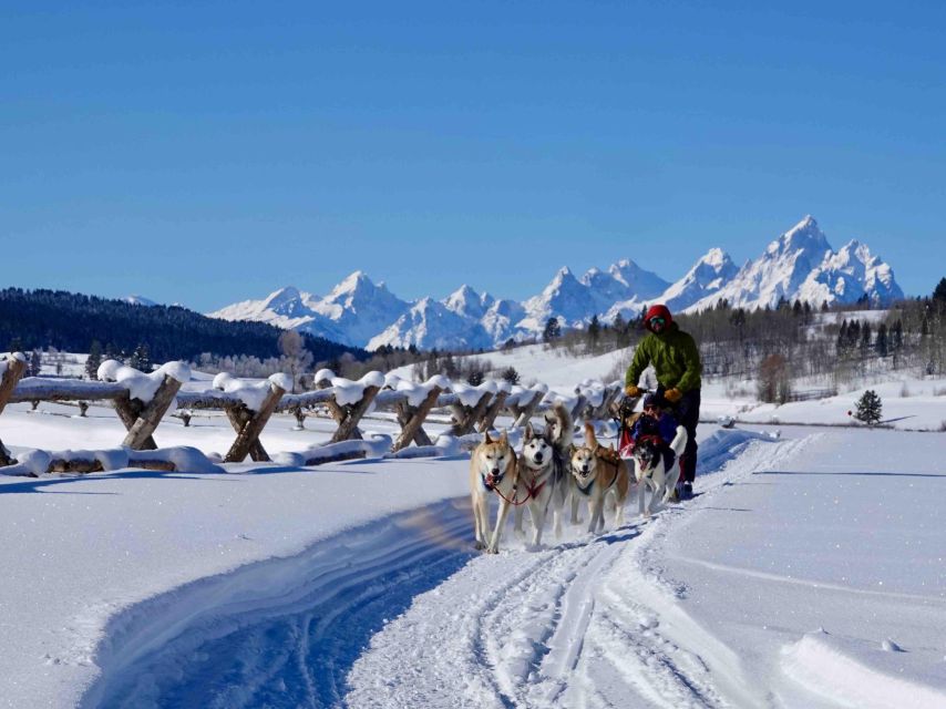 Jackson Hole: Dogsledding Tour with Hot Chocolate - Reaching Heart Six Ranch from Jackson