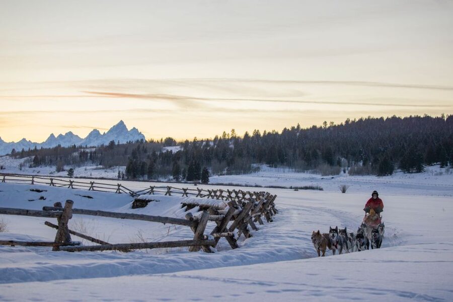 Jackson Hole: Dogsledding Tour with Hot Chocolate - The Buffalo Fork setting and Grand Teton views