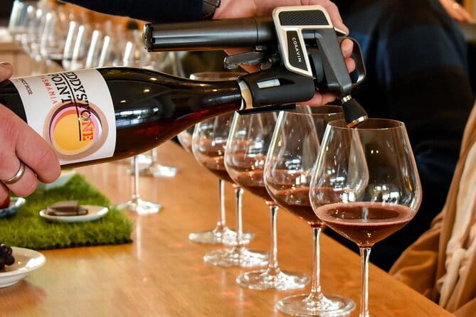 Just Bliss Wine and Chocolate Experience in Barossa - Who should book this experience?