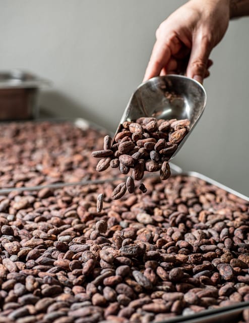 KAIACAO Bean to Bar and Design your own chocolate experience - Entering KAICAO’s Madrid chocolate lab
