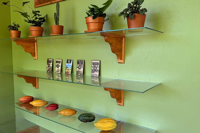 Kamananui Cacao Orchard Tour - The tasting is more than a plate of sweets