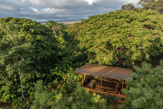 Kamananui Cacao Orchard Tour - Who will enjoy this Oahu activity most?
