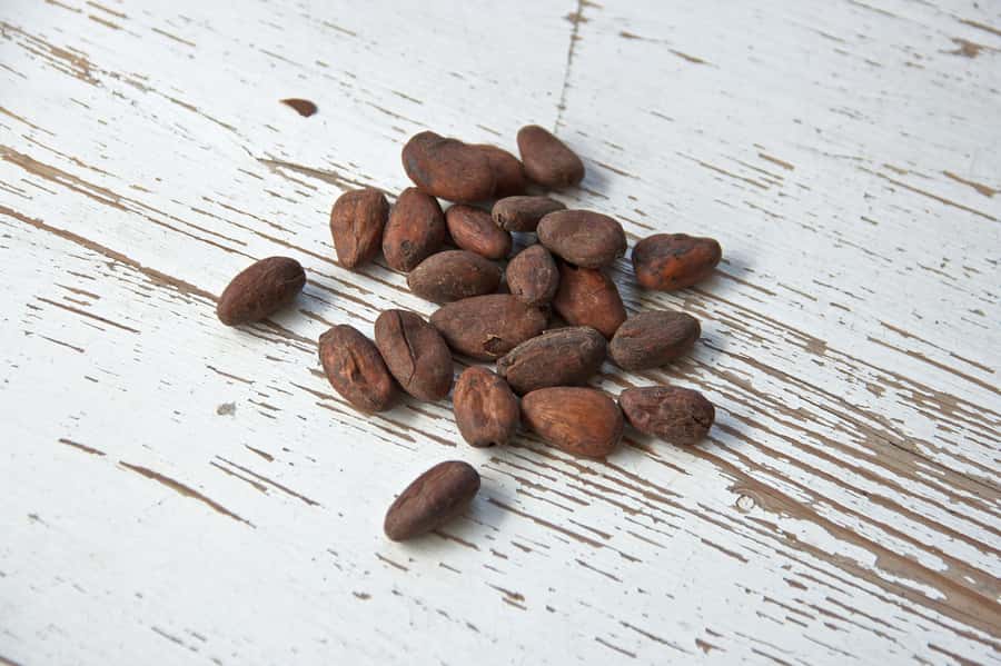 Kampala: Hands-On Chocolate Making Experience - Who will enjoy this workshop most