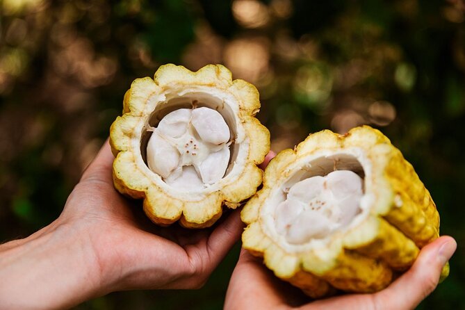 Kauai Chocolate Farm Tasting Tour - Practical planning before you book