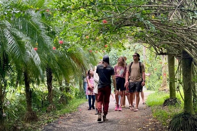 Kauai Chocolate Farm Tasting Tour - Seeing cacao before it becomes chocolate