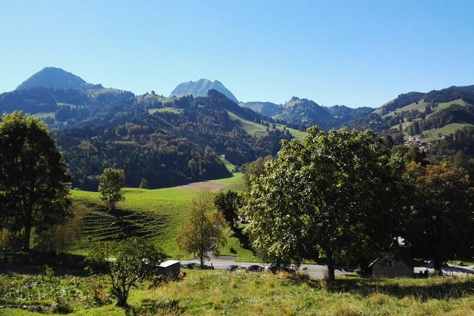 (KTL352) - Gruyeres Day Trip with Chocolate Factory from Lausanne - The guides can make or break the day