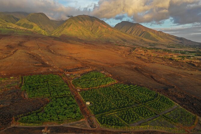 Lahaina: Maui Ku'ia Estate Guided Cacao Farm Tour and Tasting - Group size, comfort, and practical planning