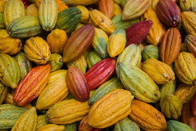 Lahaina: Maui Ku'ia Estate Guided Cacao Farm Tour and Tasting - Who will enjoy this chocolate farm visit