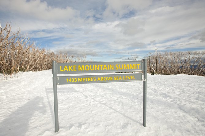 Lake Mountain Snow Trip including Yarra Valley Chocolaterie from Melbourne - Is $129.10 good value?