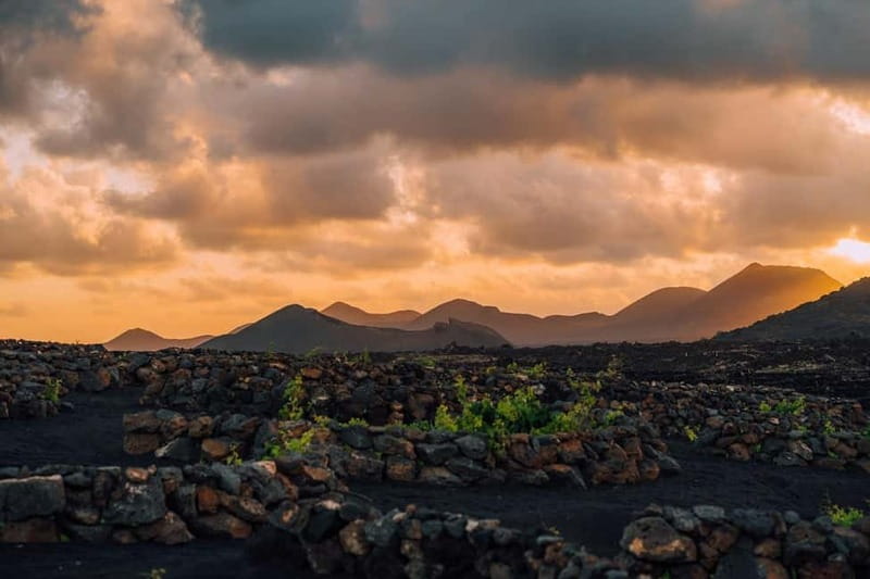 Lanzarote: Sunset vineyard tour with wine and chocolate tasting - Why Finca Testeina is more than a pretty vineyard