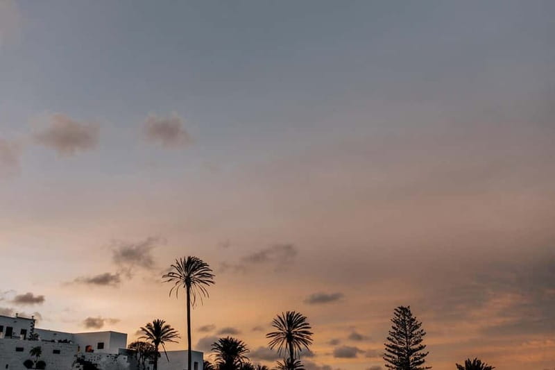 Lanzarote: Sunset vineyard tour with wine and chocolate tasting - The atmosphere and what you can expect from the guide