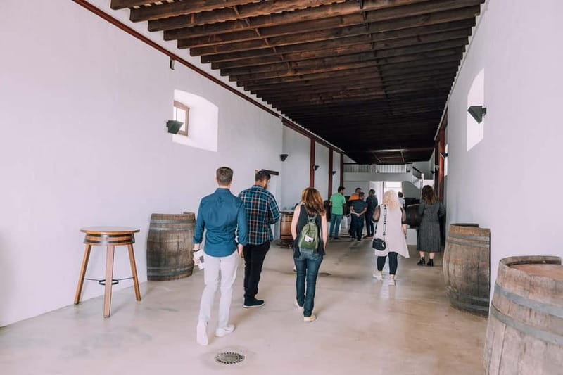 Lanzarote: Sunset vineyard tour with wine and chocolate tasting - Should you book Finca Testeina at sunset?