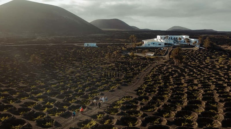 Lanzarote: Sunset vineyard tour with wine and chocolate tasting - The sunset vineyard walk