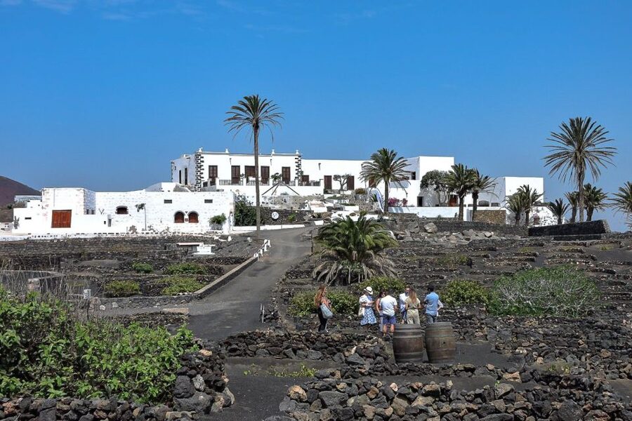 Lanzarote: Vineyard Tour with Wine and Chocolate Tasting - Key points to know before booking