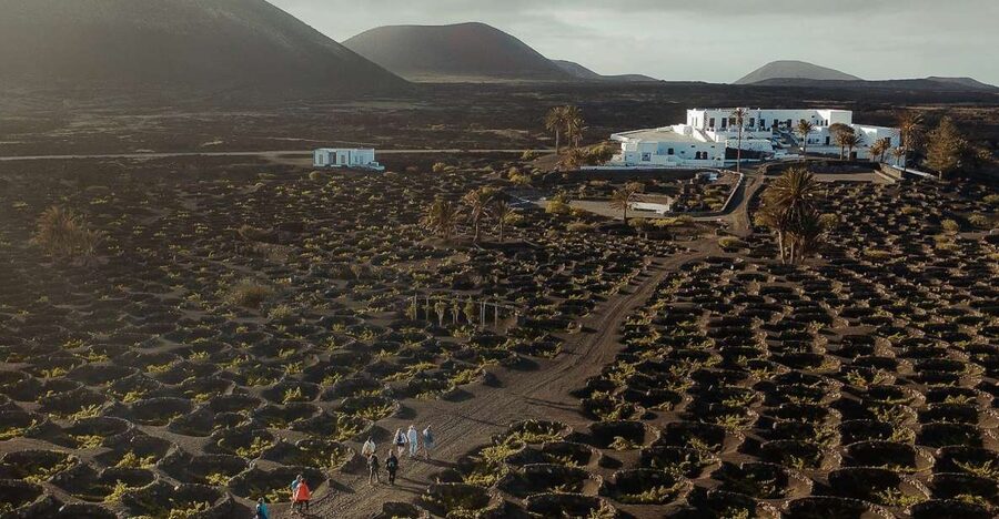 Lanzarote: Vineyard Tour with Wine and Chocolate Tasting - Arriving at Finca Testeina near Masdache