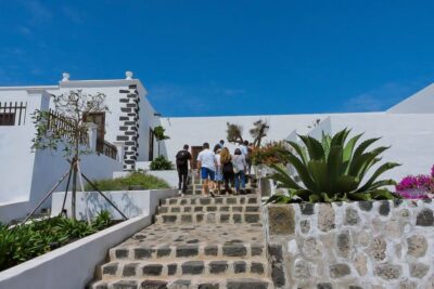 Vineyard Tour with Wine and Chocolate Tasting