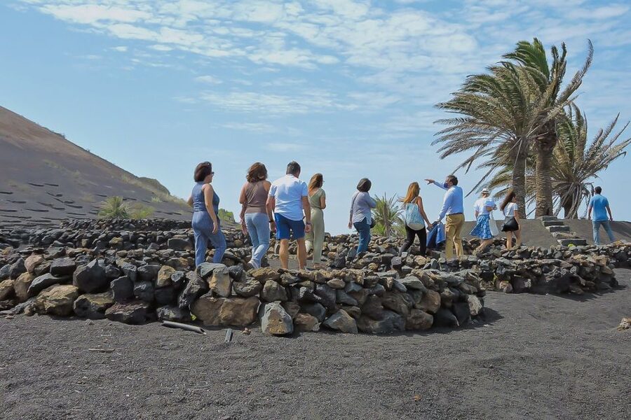 Lanzarote: Vineyard Tour with Wine and Chocolate Tasting - Two organic wines with artisan chocolate