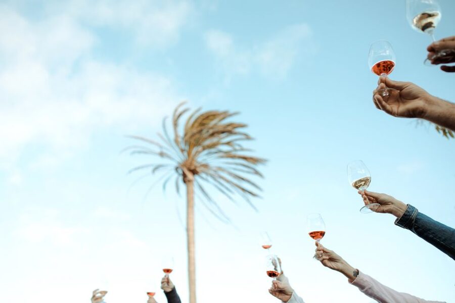 Lanzarote: Vineyard Tour with Wine and Chocolate Tasting - The final 10 minutes: photos, purchases, and the view