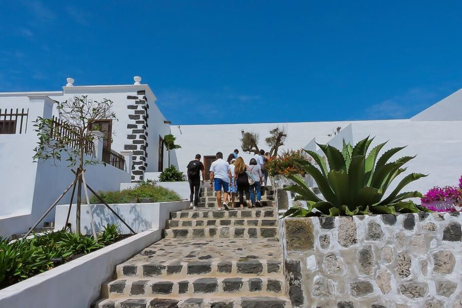 Lanzarote: Vineyard Tour with Wine and Chocolate Tasting - The 50-minute walk through Lanzarote’s vineyards