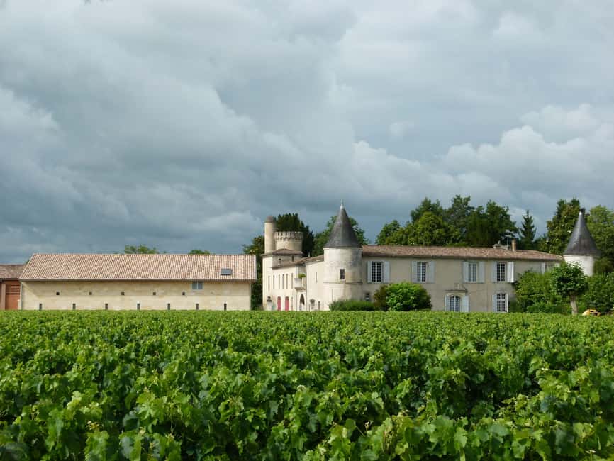 Libourne: Winery Tour with Wine and Chocolate Tasting - Starting among the vines