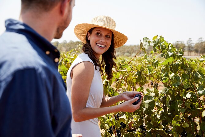 Luxury Hunter Valley Tour: 3 Tastings, Gin, Lunch & Chocolatier - Key points to know before you book