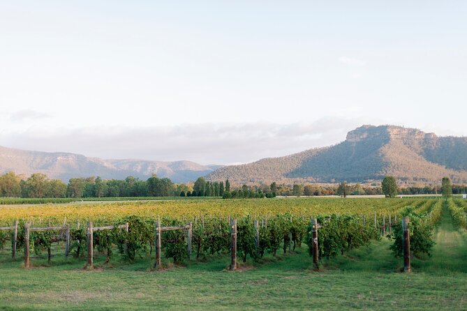 Luxury Hunter Valley Tour: 3 Tastings, Gin, Lunch & Chocolatier - The artisan chocolatier adds a welcome change of pace