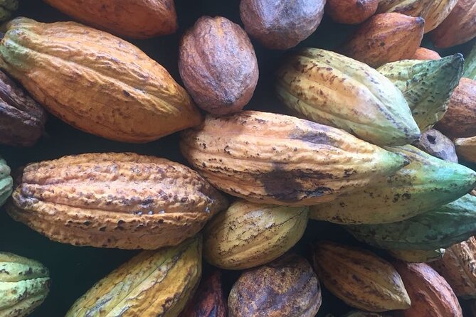 Make your own Bean to Bar Chocolate Factory Tour - Designing your own inclusion bars