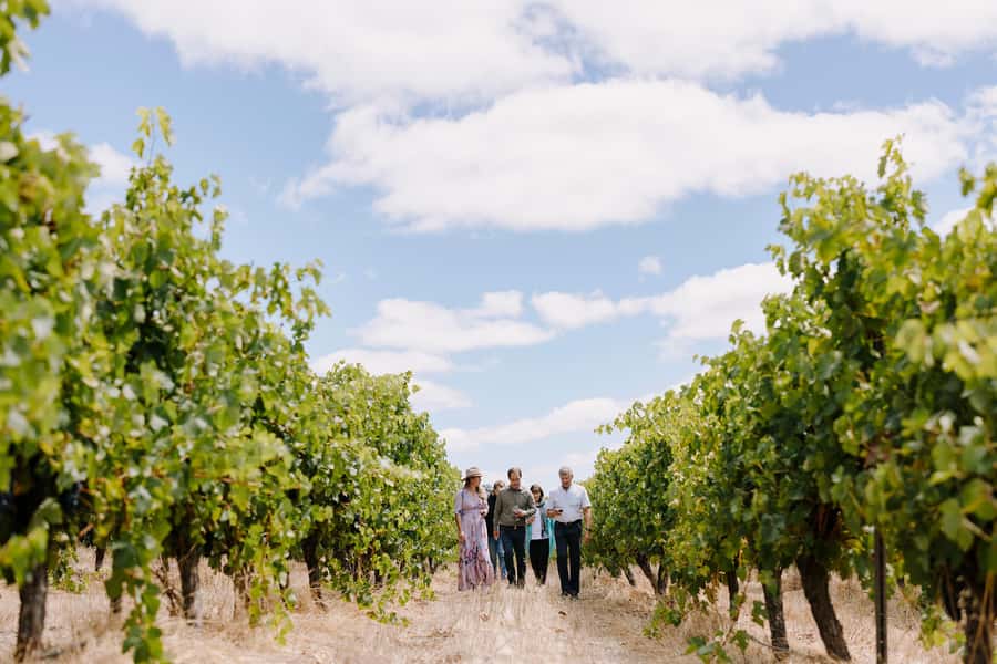 Margaret River, Chocolate, Wine & Coast Day Trip from Perth - Chocolate, nougat, nuts, and preserves