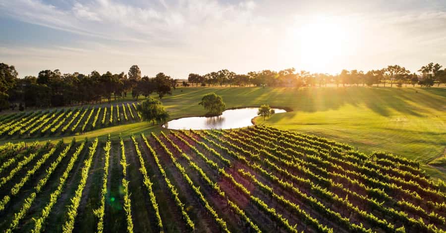 Margaret River, Chocolate, Wine & Coast Day Trip from Perth - The early road south from Perth