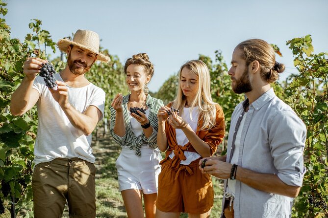 Margaret River’s Wine & Chocolate Odyssey: Private Tour - Brown Hill Estate and the first wine tasting