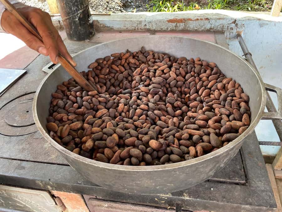 Medellín: Chocolate Tour & Exfoliation in beautiful river - Leaving Medellín for Antioquia’s cacao country