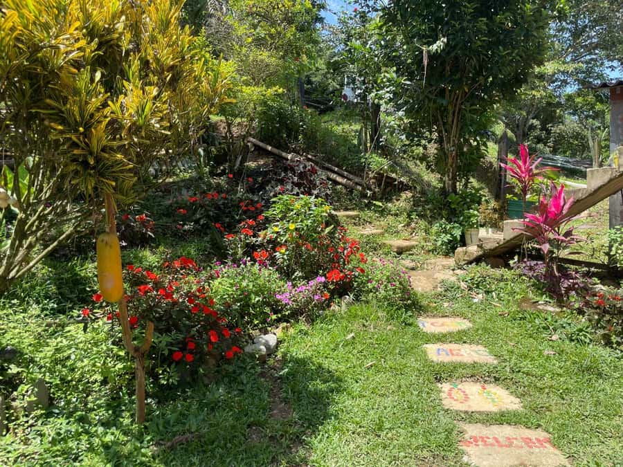 Medellín: Chocolate Tour & Exfoliation in beautiful river - Who should book this day trip?