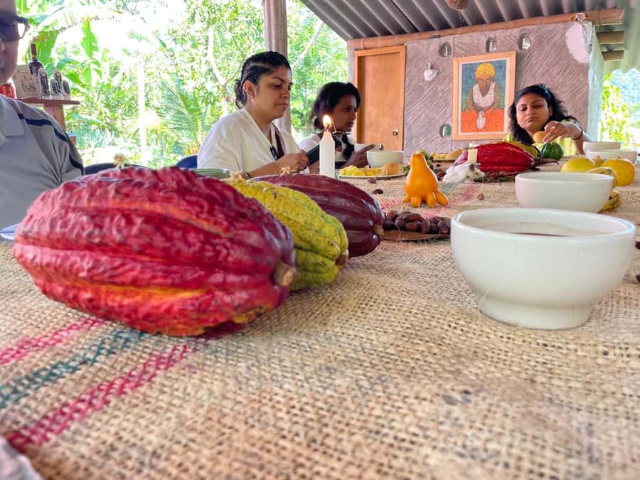 Medellín: Chocolate Tour & Exfoliation in beautiful river - Arriving at a family-run cacao farm