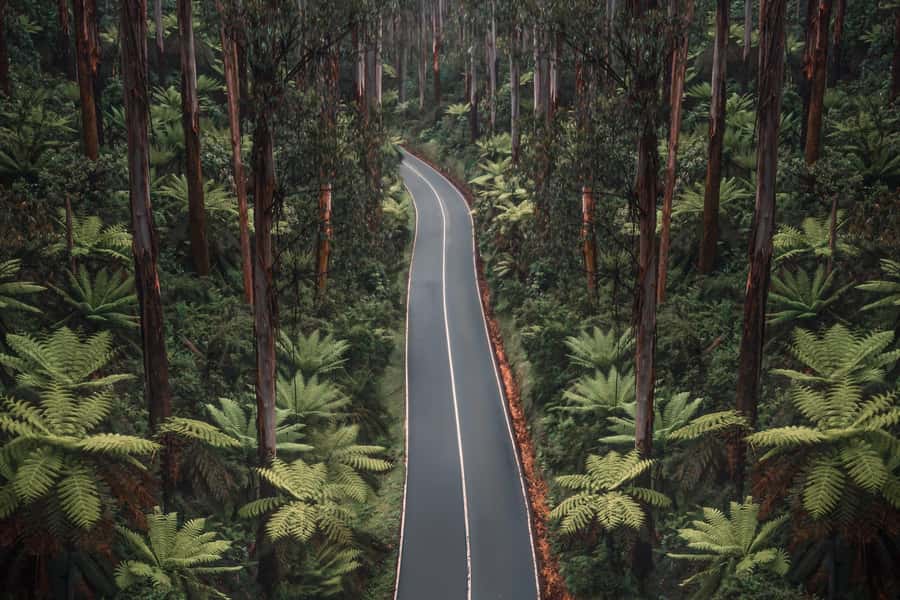 Melbourne: Lake Mountain Snow Day and Waterfalls & Chocolate - Who should book this day trip?