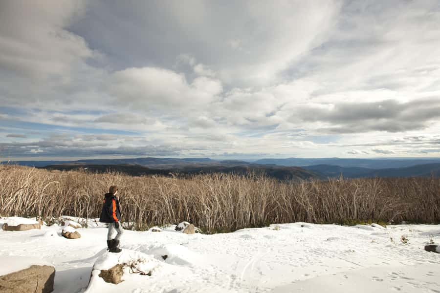Melbourne: Lake Mountain Snow, Waterfall & Chocolaterie Tour - What this Melbourne snow tour is really offering