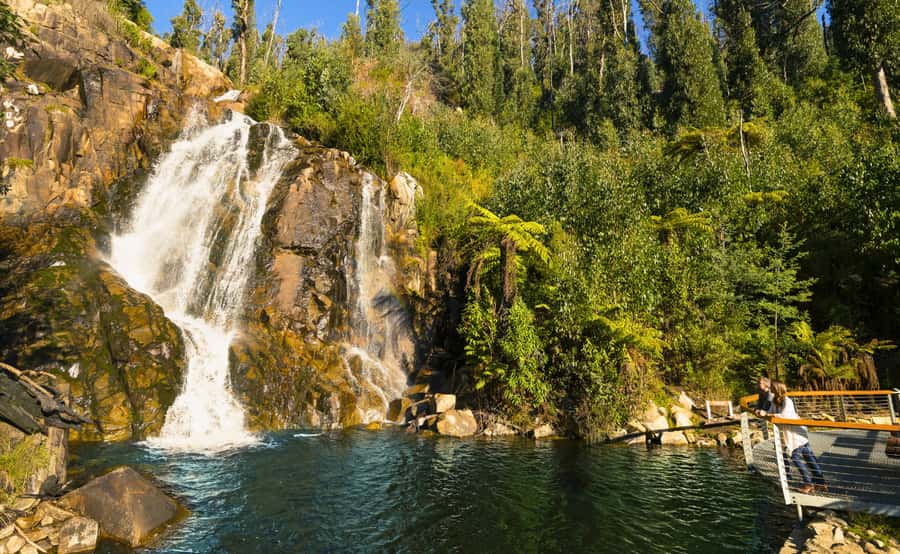 Melbourne: Lake Mountain Snow, Waterfall & Chocolaterie Tour - The Black Spur ride to Steavenson Falls
