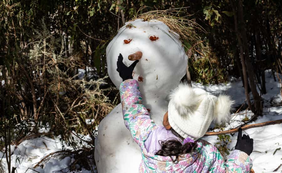Melbourne: Lake Mountain Snow, Waterfall & Chocolaterie Tour - Who will enjoy this day most?