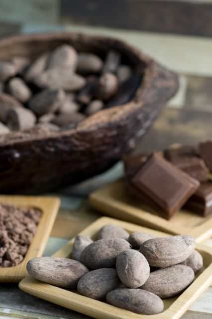 Mérida: Uxmal, Cenote and Chocolate Museum Choco-Story - What to bring and how to make the day better
