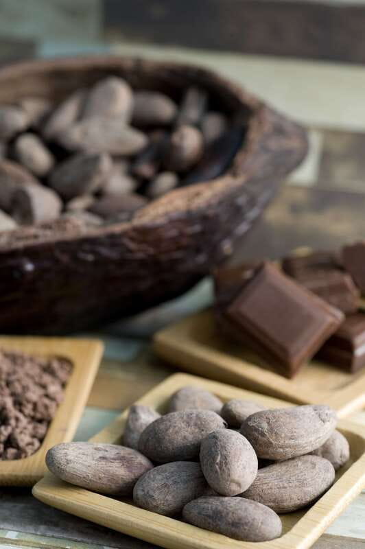 Mérida: Uxmal, Cenote and Chocolate Museum Choco-Story - The guided Uxmal visit and the value of a strong guide