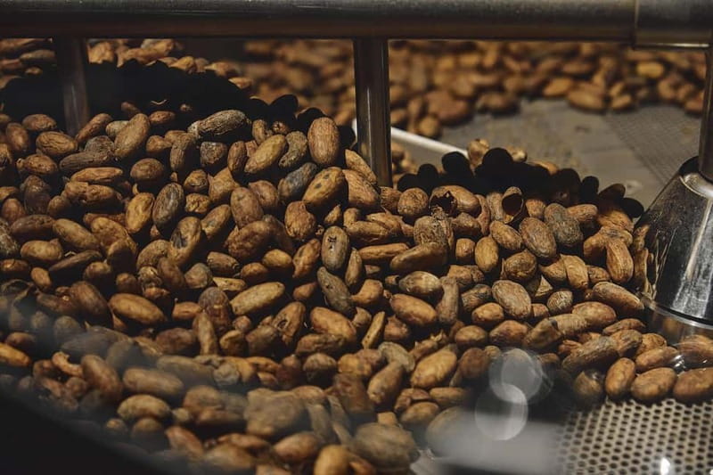 Milan: Enrico Rizzi Chocolate Factory Tour with Tasting - Why this small Milan factory is worth an hour